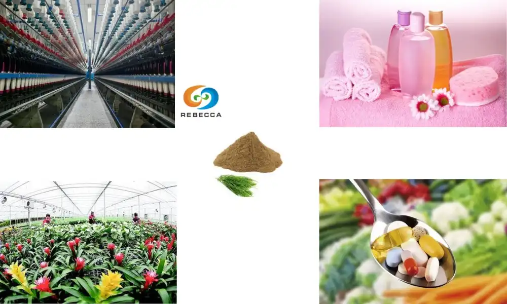 What Is Horsetail Extract Powder Used For in Industry?